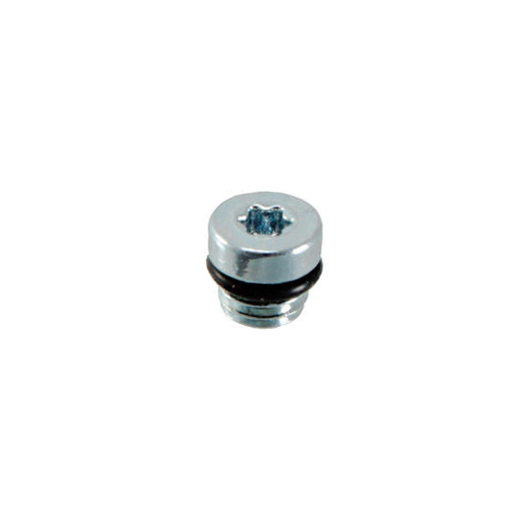 Formula Italy Bleed port screw/O-ring, C1/CR1 (2014)