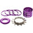 Reverse Single Speed Kit, 13T, Purple