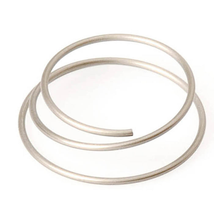 DT-Swiss Star Ratchet Spring- Each