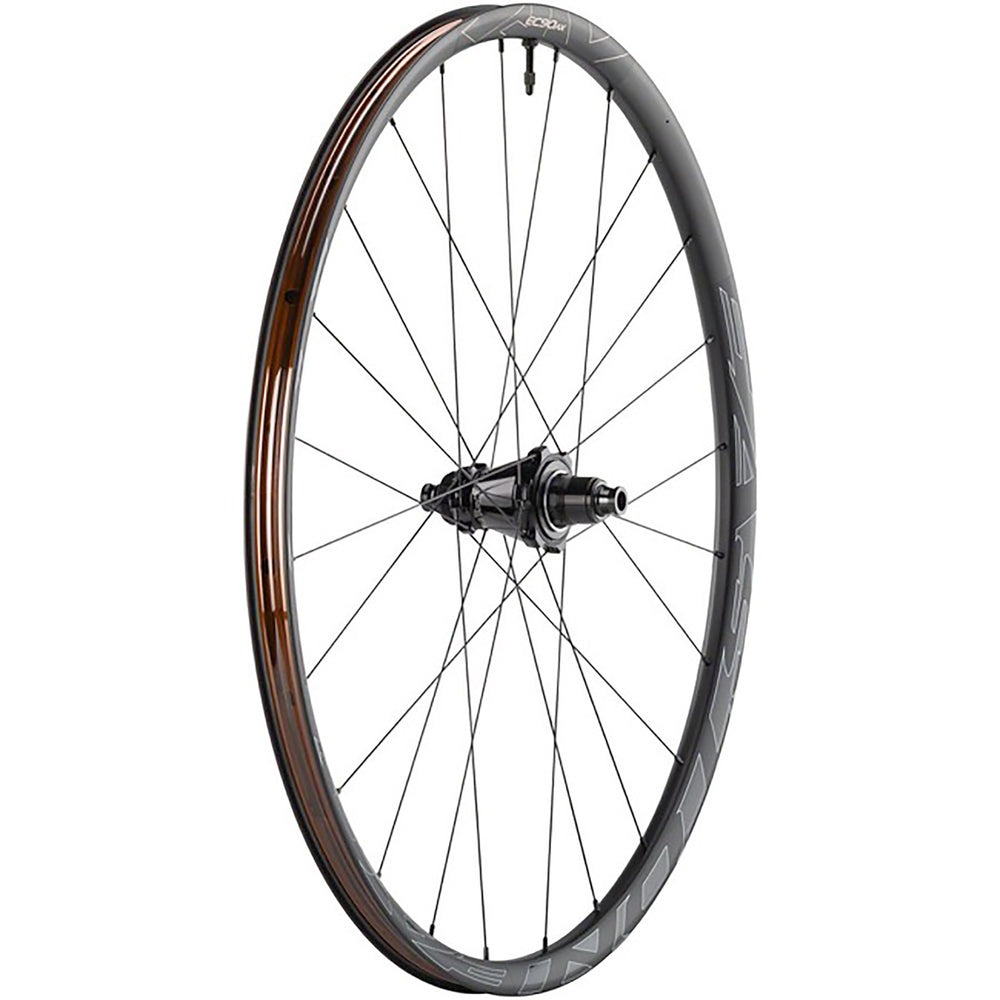 Easton EC90 AX Disc 700c Rear Wheel, 12x142 TA, XDR