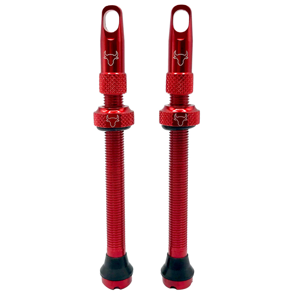 Hold Fast Cycling Tubeless Valve Stem, 65mm (Pair) - Red