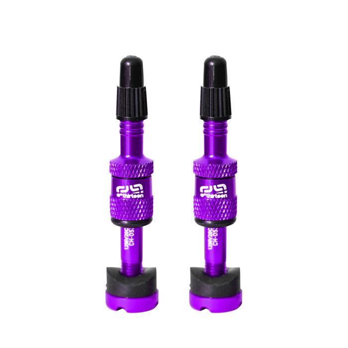E*thirteen Quick Fill Tire Plasma Valves(23-30mm Rim), Pair - Egg