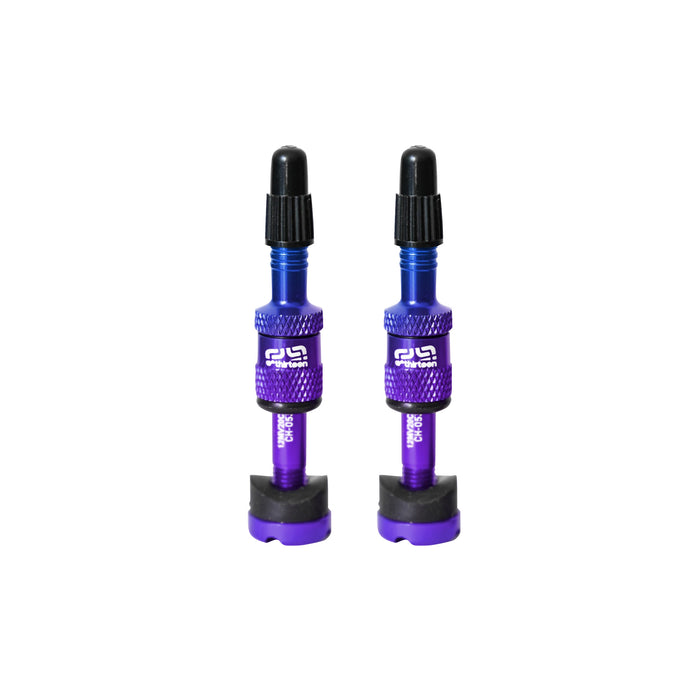 E*thirteen Quick Fill Tire Plasma Valves(23-30mm Rim), Pair - Int