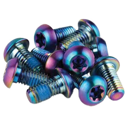 SRAM Titanium T25 Rotor Bolt Kit - Rainbow, Set of 12