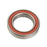 DT-Swiss 1728 Cartridge Bearing- Each