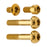Terske Bolt Kit, Brake Lever, Matchmaker, Gold