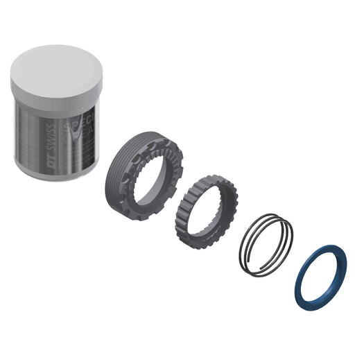 DT-Swiss 30 Step OS Star Ratchets, Springs and Grease