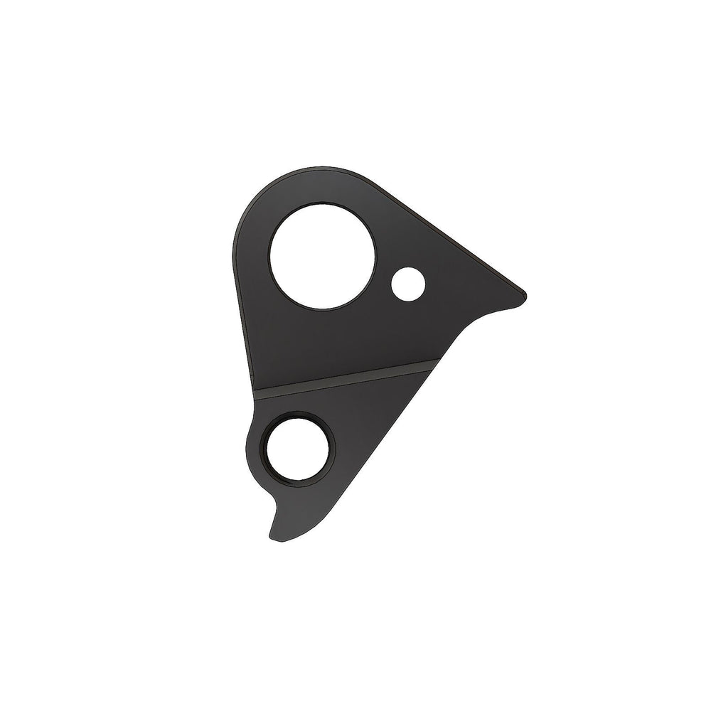 Pilo Derailleur Hanger, D776 (Canyon)