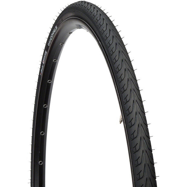 Vittoria Randonneur Tire (PRB shielding), 700x35c, Blk/Reflect