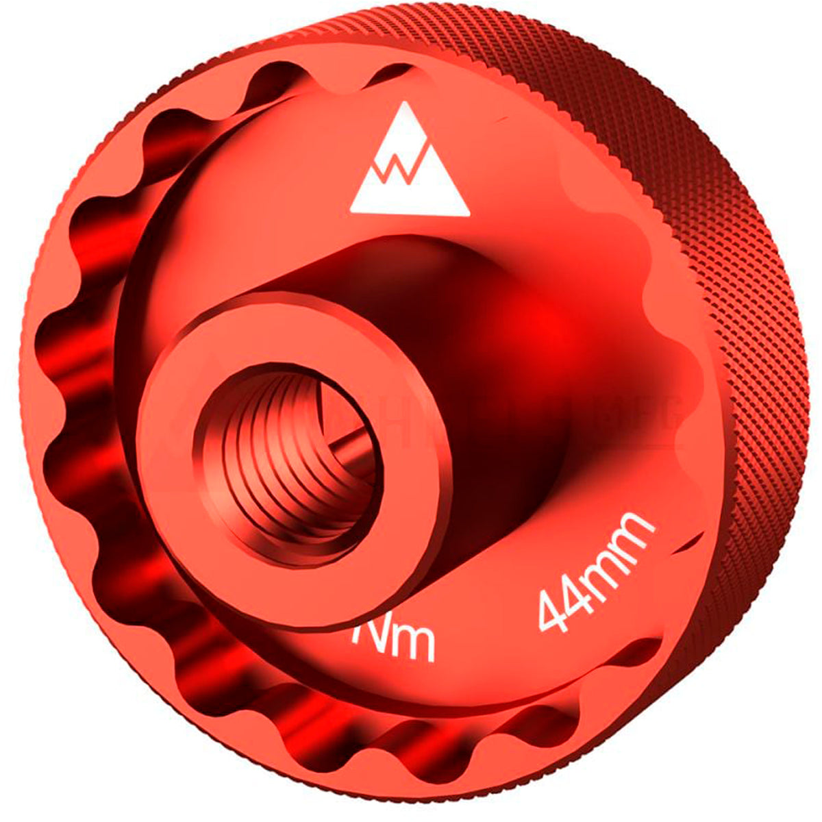 Wheels Mfg Praxis Thin Flange Socket, 44mm 16-Notch — Send It Bikes