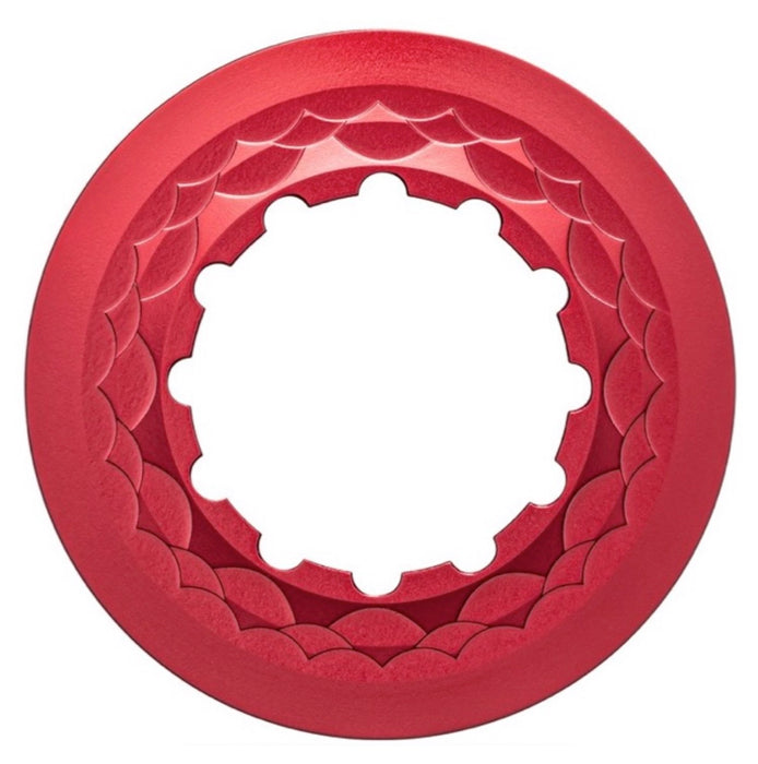 Absolute Black Center Lock Rotor Lockring, Red