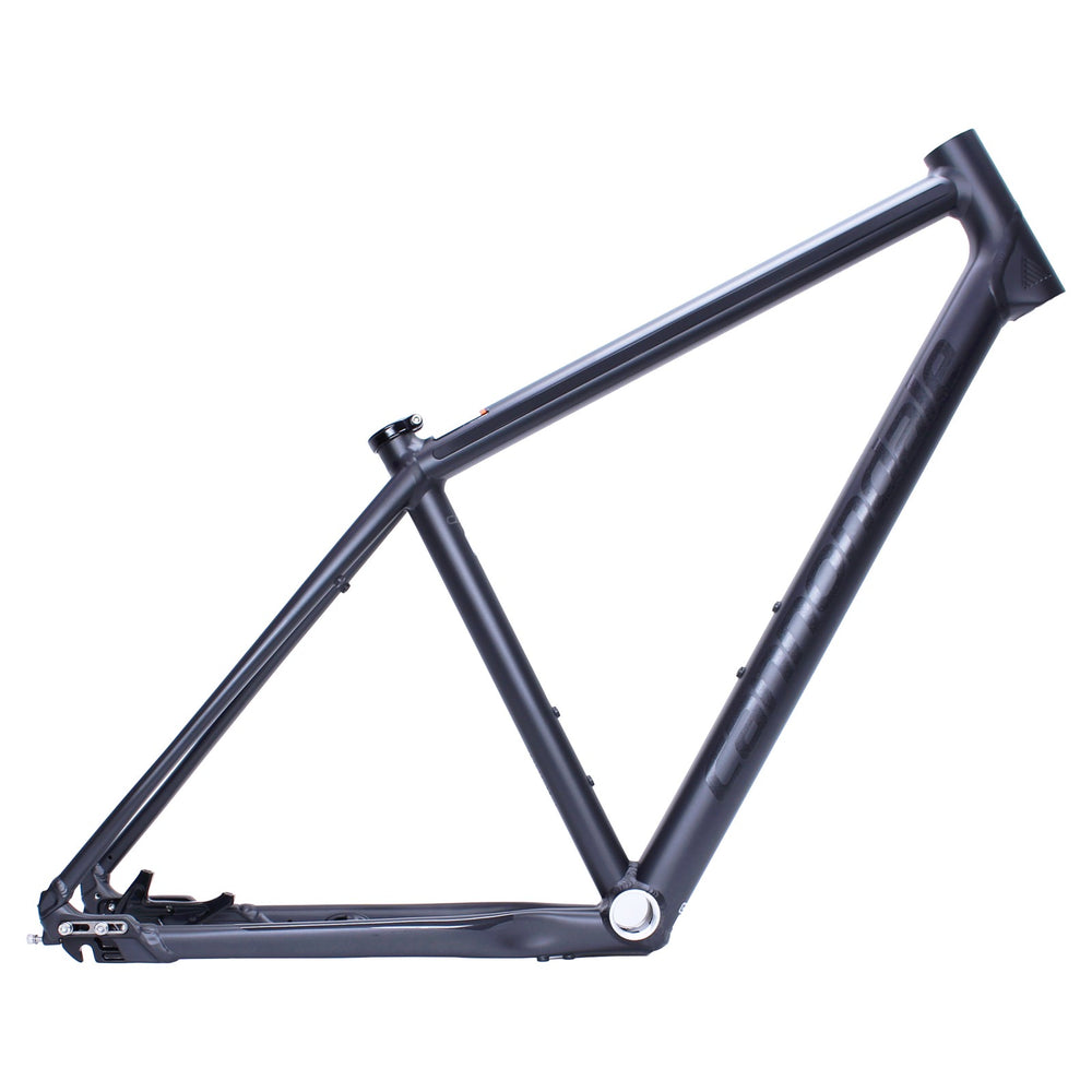 Cannondale Bad Boy Belt Drive Horizontal Dropout Frame Only BBQ Small
