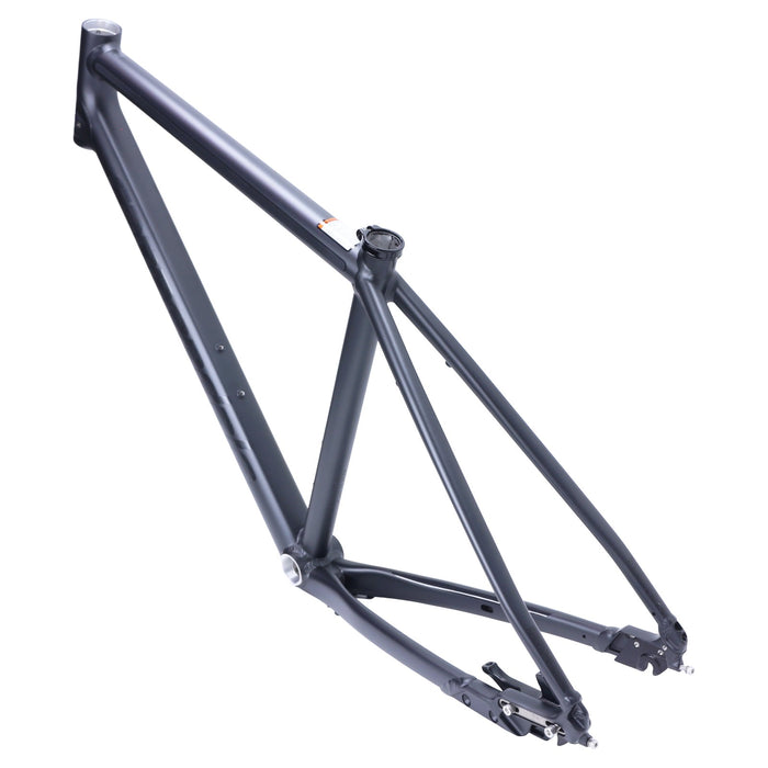 Cannondale Bad Boy Belt Drive Horizontal Dropout Frame Only BBQ Large