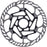 Jagwire Pro LR3 Disc Brake Rotor - 180mm, Center Lock, Includes Lockring, 1.8mm Thickness
