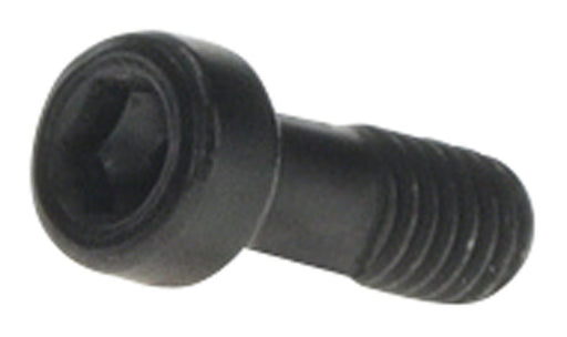 Bosch Purion 400 Mounting Clamp Screw