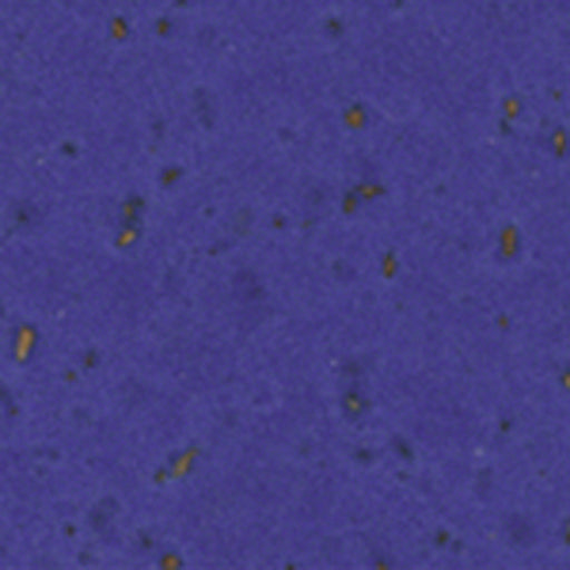 Profile Design Adhesive Cork Bar Tape - Blue