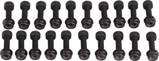 RaceFace Chester Pedal Pin Kit, 20 Pins Black