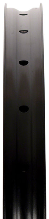 Stan's Flow EX3 29" Disc Rim, Black - 32h