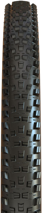 Maxxis Forekaster Tire, 29x2.4", MT/EXO/TR