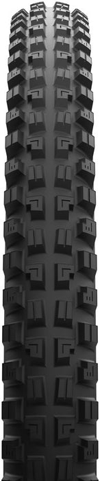 Maxxis Minion DHX, 29x2.5", 3CG/NDH/TR, E50