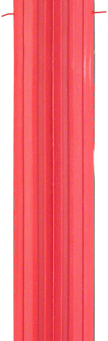 Vittoria Zaffiro Pro Home Trainer Tire, 700x23, Red