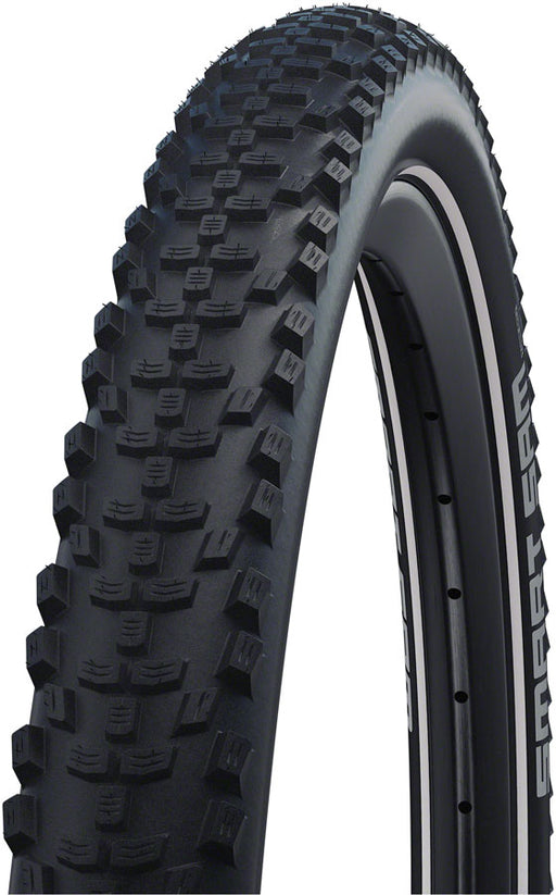Schwalbe Smart Sam Tire - 29 x 2.6, Clincher, Wire, Black, Performance Line, Addix, E-25