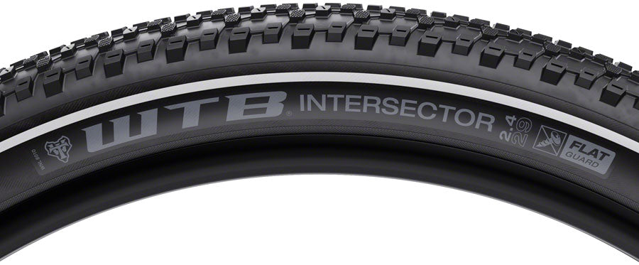 WTB Intersector Flat Guard Comp Tire, 29x2.4"