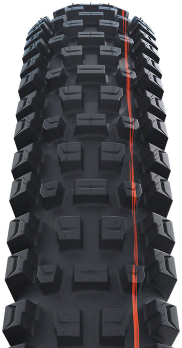 Schwalbe Albert Gravity Pro Radial E50 Tire, 29x2.5, Soft