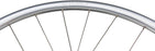 Ritchey Classic V2 Zeta Disc, 700c Wheelset (HG) 12x100/142 Si