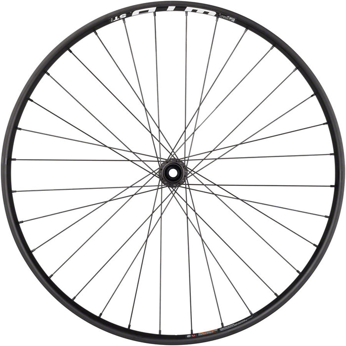 Quality Wheels Bear Pawls / WTB ST i30 Front Wheel - 29", 15 x 100, Center-Lock, Black, 32H