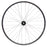 Quality Wheels Bear Pawls / WTB ST i30 Rear Wheel - 29", 12 x 142mm, Center-Lock, XD, Black, 32H