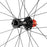 Campagnolo Hyperon Ultra Rear Wheel - 700c, 12 x 142mm, Center-Lock, N3W, 2-Way Fit, Carbon