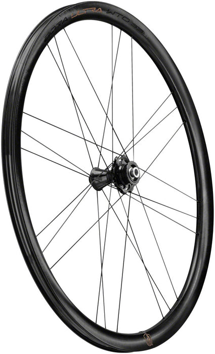 Campagnolo Bora Ultra WTO 33 Front Wheel - 700c, 12 x 100mm, Center-Lock, 2-Way Fit, Gray