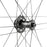Campagnolo Zonda GT Front Wheel - 700c, 12 x 100mm, Center-Lock, 2-Way Fit, Black