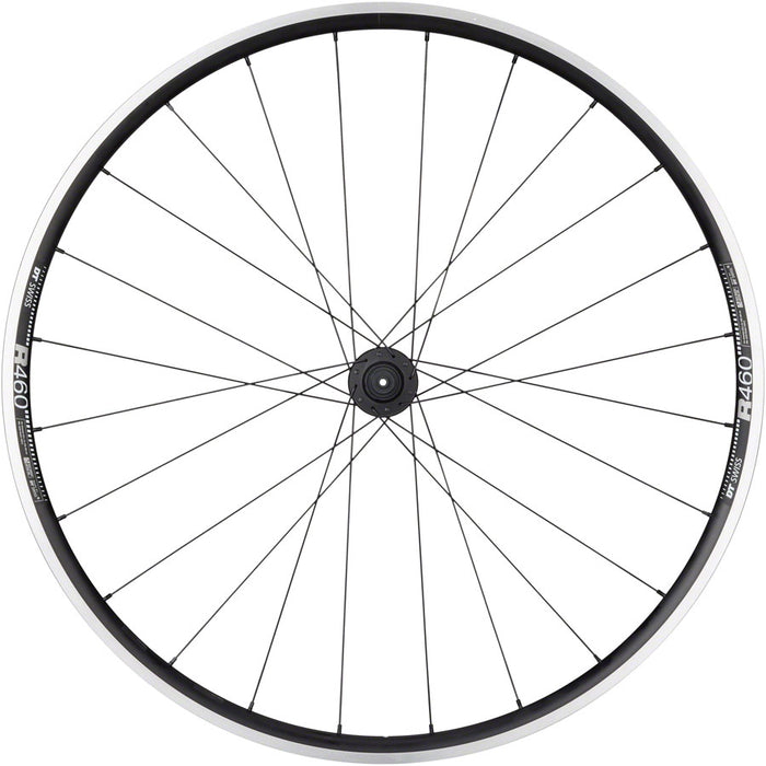 Quality Wheels DT 240/DT R460 Rear Wheel - 700, QR x 130mm, Rim Brake, HG 11 Road, Black, 24H