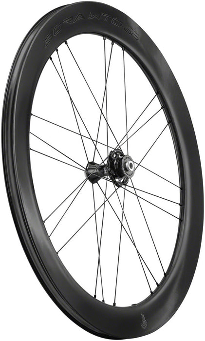Campagnolo Bora WTO 60 C23 Front Wheel - 700c, QR x 100mm, Center-Lock, 2-Way Fit, Carbon