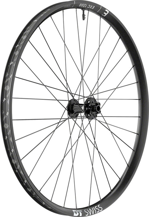 DT Swiss EXC 1200 Classic 30 Front Wheel - 29", 20 x 110mm DH Boost, 6-Bolt, Black
