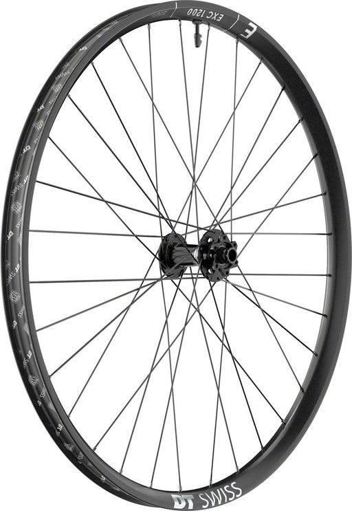 DT Swiss EXC 1200 Classic 30 Front Wheel - 29", 20 x 110mm DH Boost, 6-Bolt, Black