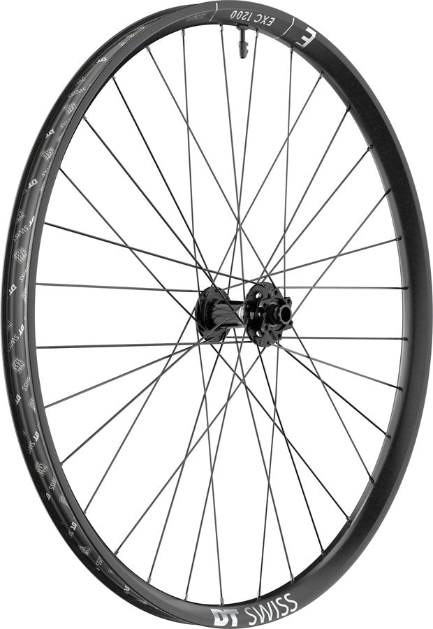 DT Swiss EXC 1200 Classic 30 Front Wheel - 29", 20 x 110mm DH Boost, 6-Bolt, Black