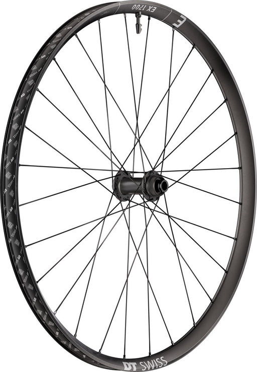DT Swiss EX 1700 Classic 30 Front Wheel - 29", 15 x 110mm, Center-Lock, Black