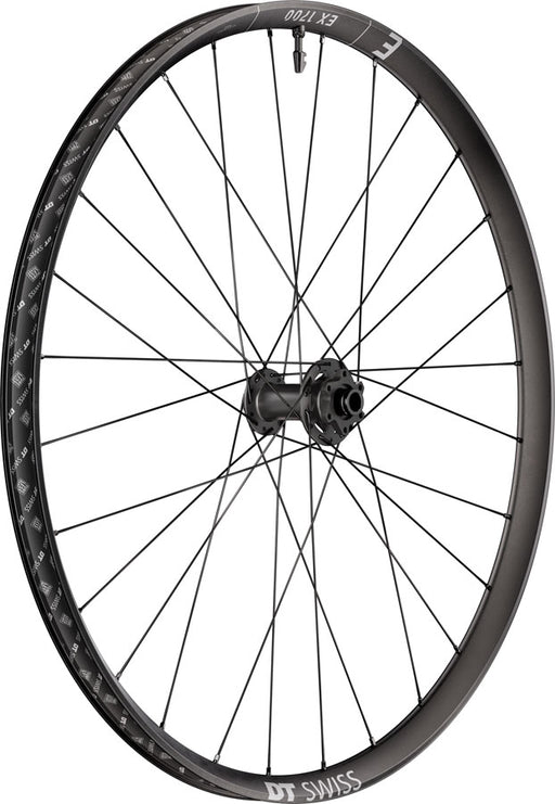 DT Swiss EX 1700 Classic 30 Front Wheel - 27.5", 15 x 110mm, 6-Bolt, Black