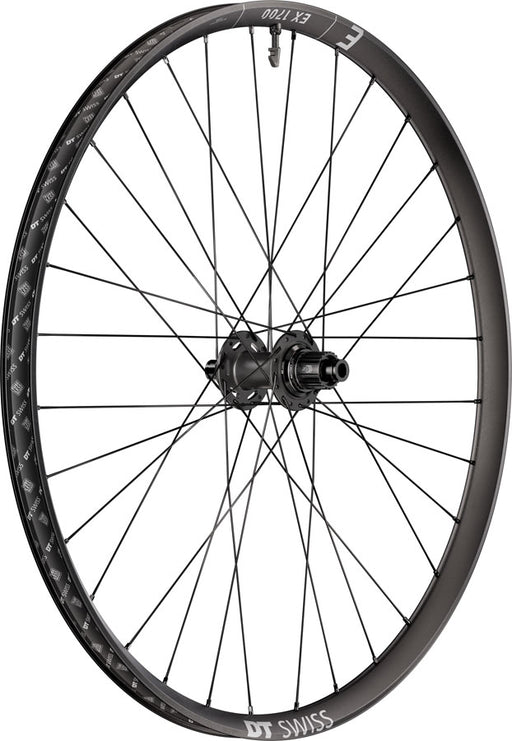 DT Swiss EX 1700 Classic 30 Rear Wheel - 29", 12 x 148mm, Center-Lock, Micro Spline, DEG 72 DF, Black