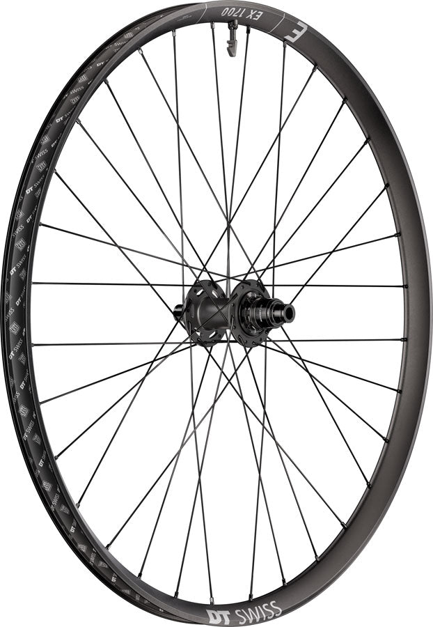 DT Swiss EX 1700 Classic 30 Rear Wheel - 29", 12 x 148mm, Center-Lock, XD, DEG 72 DF, Black