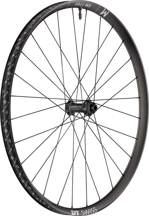 DT Swiss XM 1700 Spline 30 Front Wheel - 27.5", 15 x 110mm, Center-Lock, Black