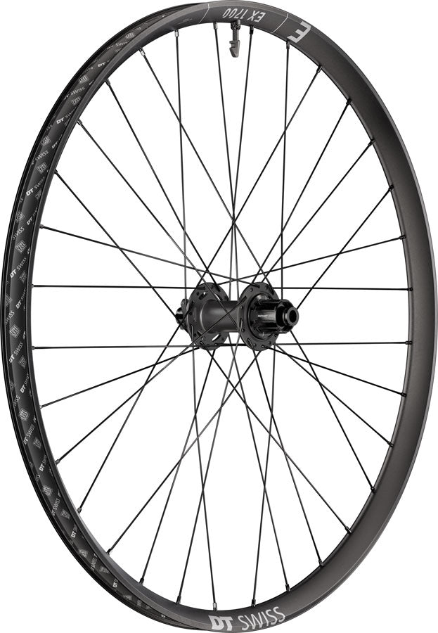 DT Swiss EX 1700 Classic 30 Rear Wheel - 29", 12 x 148mm, 6-Bolt, HG Slim, DEG 72 DF, Black