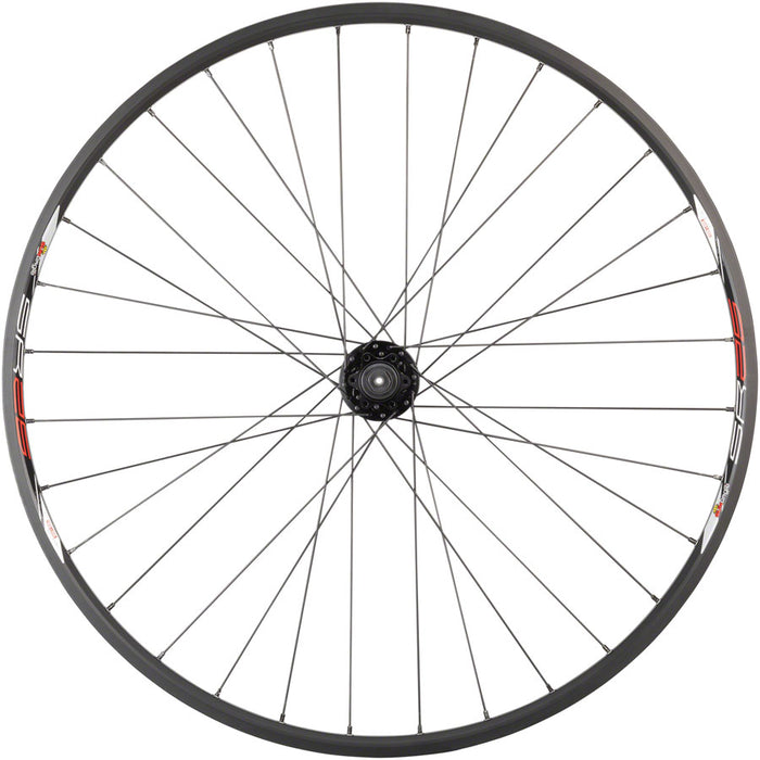 Quality Wheels Value Double Wall Series Disc Front Wheel - 29", QR x 100mm, 6-Bolt, Black, Clincher, 32H