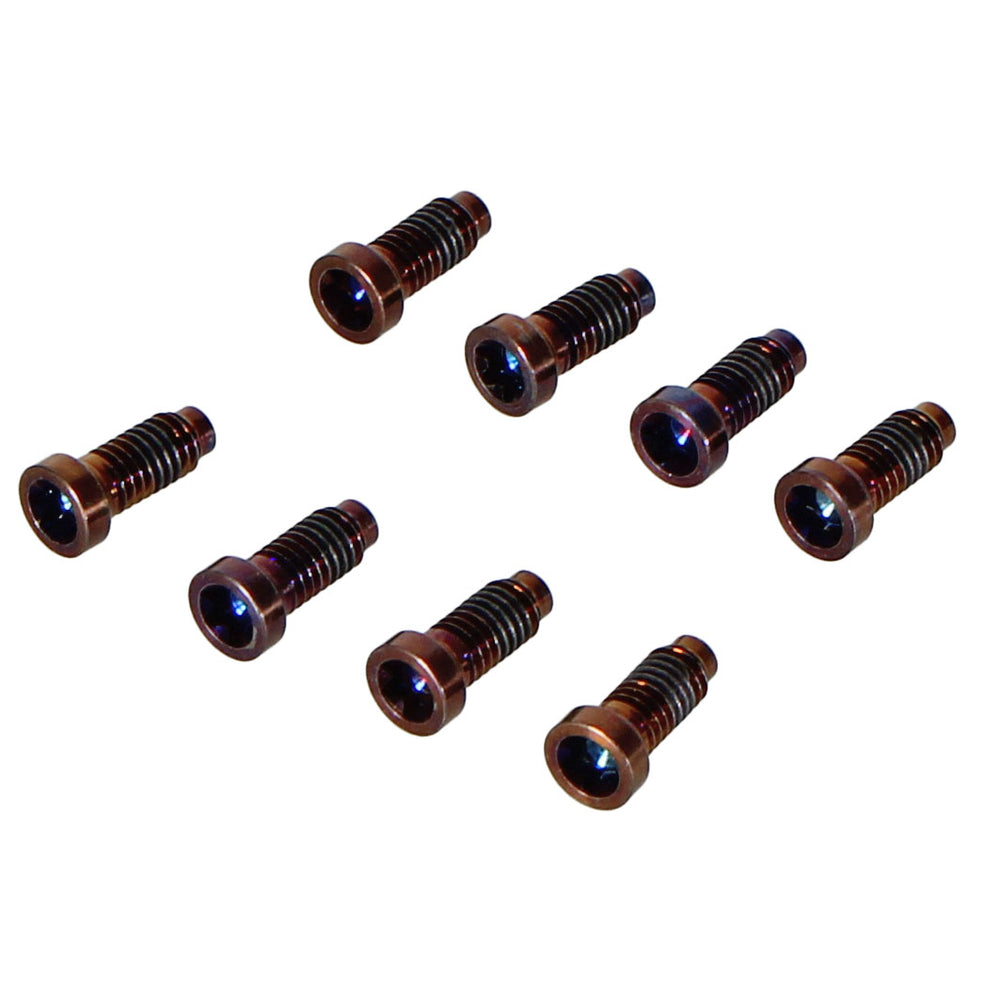 Cane Creek eeWings 8-Bolt Stainless Chainring Bolts, 8/Count