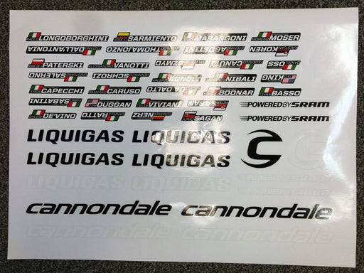 Liquigas Cannondale 2012 Team Stickers Basso Sagan King Nibali Vivani