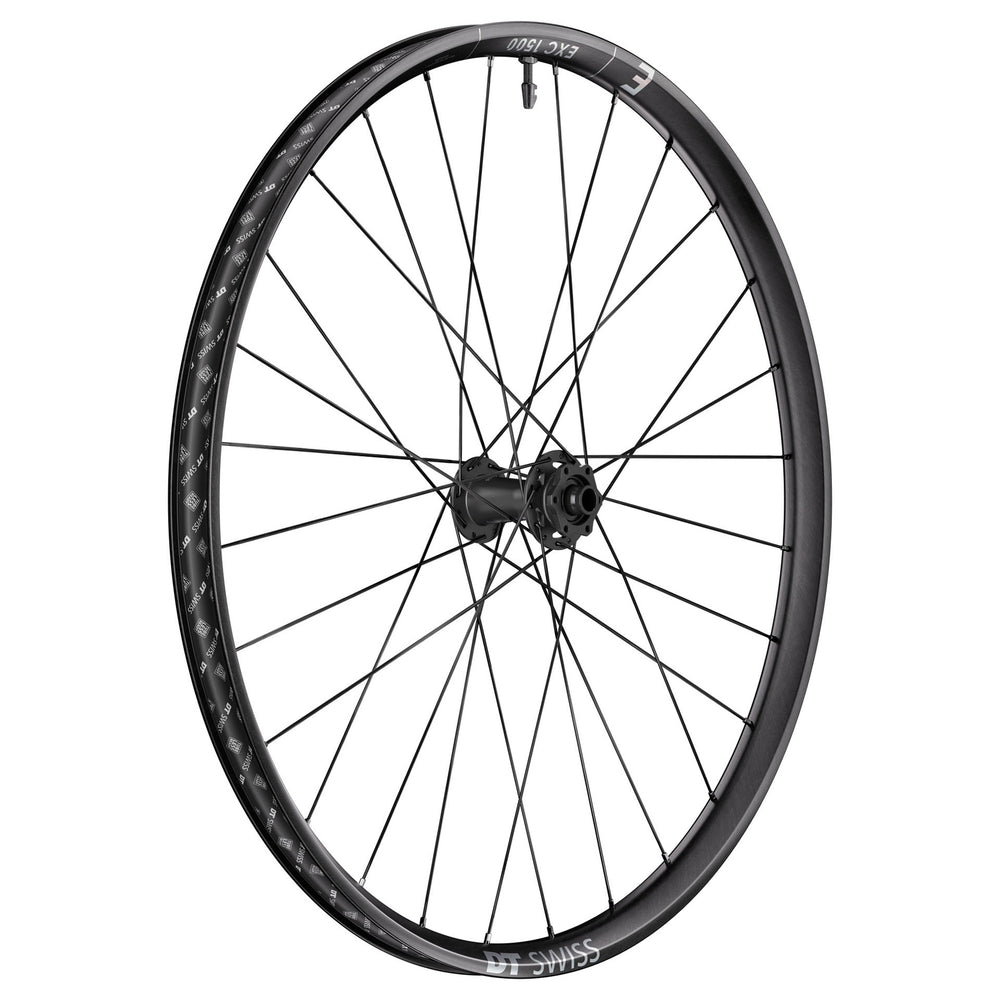 DT Swiss EXC 1500 Classic Front Wheel, 29", 15x110
