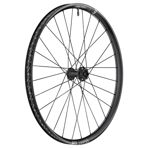 DT Swiss EXC 1500 Classic Front Wheel, 29", 15x110